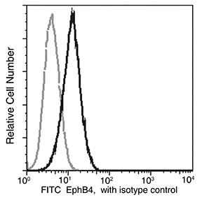 Flow Cytometry - FITC Anti-Eph receptor B4/HTK antibody [04] (AB279601)