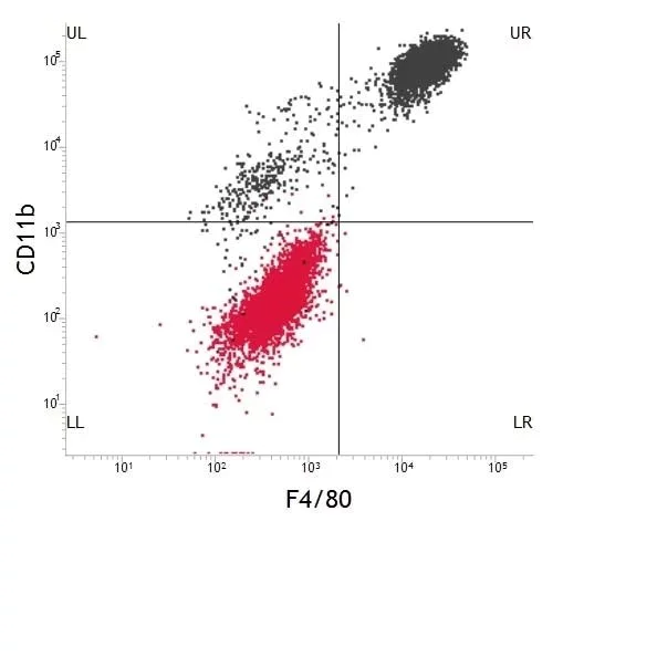 Flow Cytometry - FITC Anti-F4/80 antibody [CI:A3-1] (AB105155)