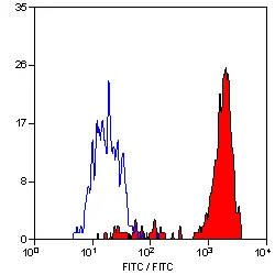 Flow Cytometry - FITC Anti-F4/80 antibody [CI:A3-1] (AB105155)