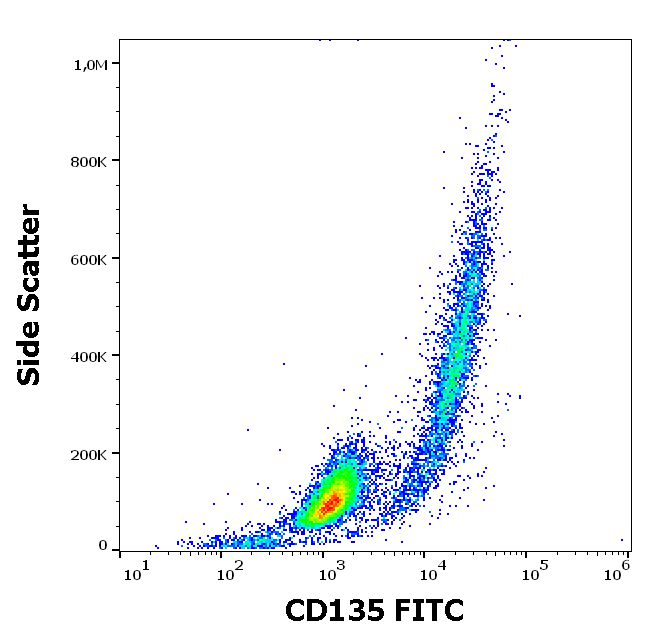 Flow Cytometry - FITC Anti-Flt3 / CD135 antibody [BV10A4] (AB183211)