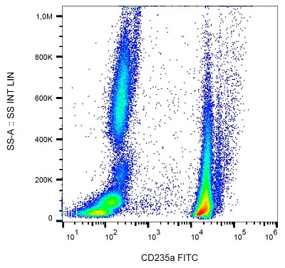 Flow Cytometry - FITC Anti-Glycophorin A antibody [JC159] (AB233580)