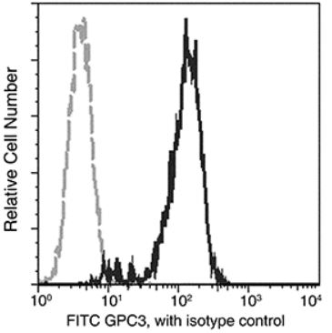 Flow Cytometry - FITC Anti-Glypican 3 antibody [024] (AB275696), expandable thumbnail