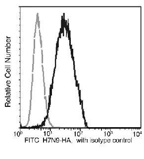 Flow Cytometry - FITC Anti-H7N9 Hemagglutinin antibody [002] (AB281950)