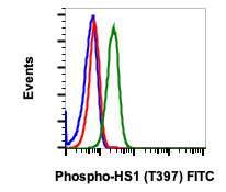 Flow Cytometry - FITC Anti-HCLS1 (phospho Y397) antibody [HS1Y397-F12] (AB278633), expandable thumbnail