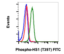Flow Cytometry - FITC Anti-HCLS1 (phospho Y397) antibody [HS1Y397-F12] (AB278633)