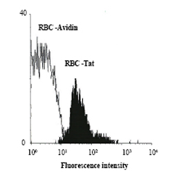 Flow Cytometry - FITC Anti-HIV1 tat antibody (AB43016)