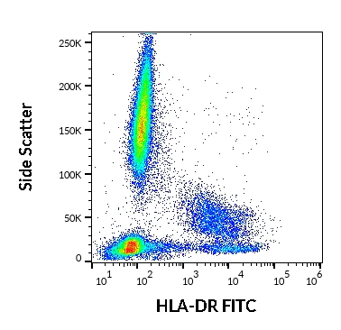 Flow Cytometry - FITC Anti-HLA-DR antibody [MEM-12] (AB28323)