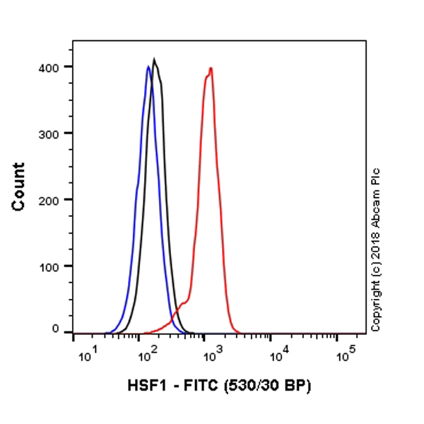 Flow Cytometry (Intracellular) - FITC Anti-HSF1 antibody [EP1710Y] (AB237150), expandable thumbnail