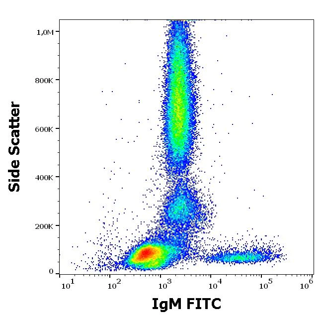 Flow Cytometry - FITC Anti-Human IgM Fc fragment antibody [CH2] (AB239227)