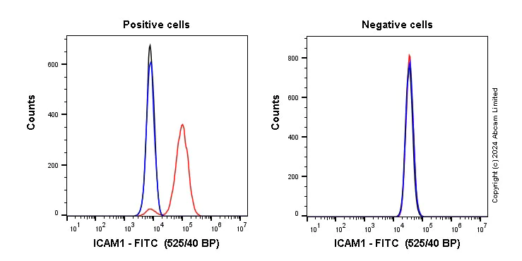 Flow Cytometry - FITC Anti-ICAM1 antibody [EPR22161-284] (AB322304)