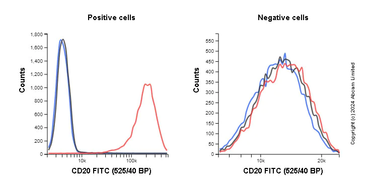 Flow Cytometry (Intracellular) - FITC Anti-ICAM1 antibody [EPR22161-284] (AB322304)