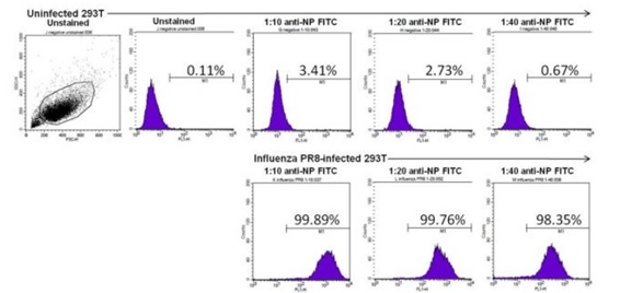 Flow Cytometry - FITC Anti-Influenza A Virus Nucleoprotein antibody [D67J] (AB210526)