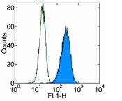 Flow Cytometry - FITC Anti-Integrin alpha V beta 3 antibody [23C6] (AB93513), expandable thumbnail