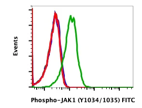 Flow Cytometry - FITC Anti-JAK1 (phospho Y1034 + Y1035) antibody [Jak1Y10221023-F11] (AB278782)