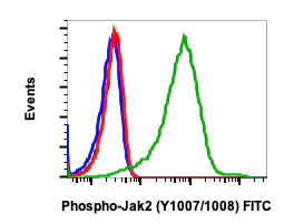 Flow Cytometry - FITC Anti-JAK2 (phospho Y1007 + Y1008) antibody [JAK2Y10071008-PB6] (AB278664)