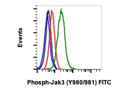Flow Cytometry - FITC Anti-JAK3 (phospho Y980 + Y981) antibody [JAK3Y980981-E10] (AB278666)