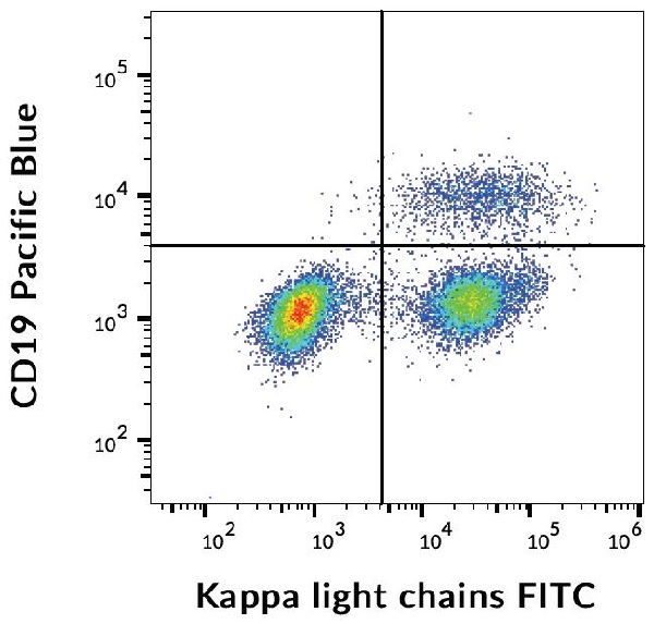 Flow Cytometry - FITC Anti-Kappa light chain antibody [TB28-2] (AB239261), expandable thumbnail