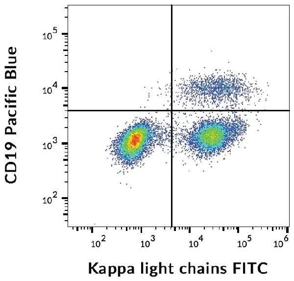 Flow Cytometry - FITC Anti-Kappa light chain antibody [TB28-2] (AB239261)