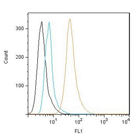 FITC Anti-LAG-3 antibody [L4-PL33]