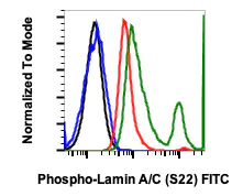 Flow Cytometry - FITC Anti-Lamin A + Lamin C (phospho S22) antibody [LaminACS22-CF12] (AB278660)