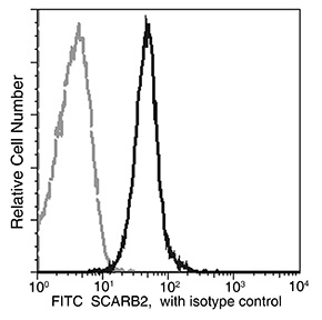 Flow Cytometry (Intracellular) - FITC Anti-LIMPII antibody [052] (AB275723)