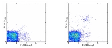 Flow Cytometry - FITC Anti-LLGL1 antibody [4D11] (AB95802), expandable thumbnail