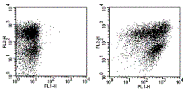 Flow Cytometry - FITC Anti-Ly-6A/E (Sca-1) antibody [D7] (AB268016)
