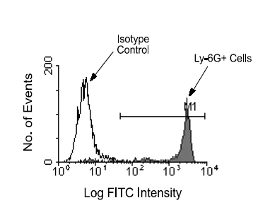 Flow Cytometry - FITC Anti-Ly6g antibody [RB6-8C5] (AB25024)