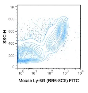 Flow Cytometry - FITC Anti-Ly6g antibody [RB6-8C5] (AB25024)