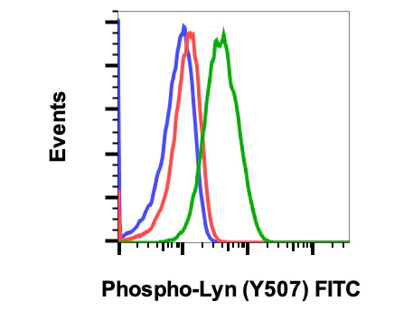 Flow Cytometry - FITC Anti-Lyn (phospho Y507) antibody [LynY507-5B6] (AB278640)