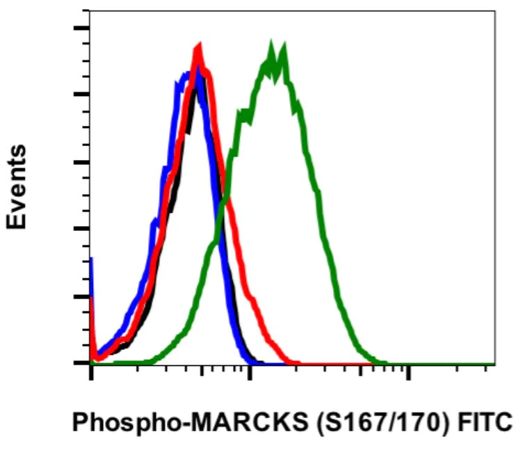 Flow Cytometry - FITC Anti-MARCKS (phospho S167 + S170) antibody [MARCKSS167170-C9] (AB278647)
