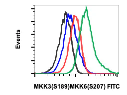 Flow Cytometry - FITC Anti-MEK3 (phospho S189) + MKK6 (phospho S207) antibody [MKK3S189MKK6S207-D3] (AB278652)