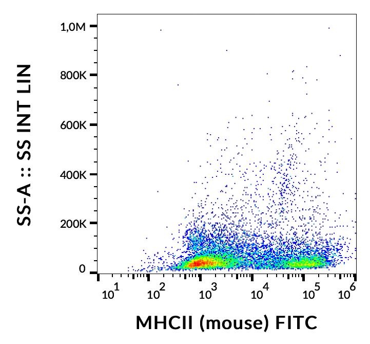 Flow Cytometry - FITC Anti-MHC Class II antibody [M5/114] (AB239229), expandable thumbnail