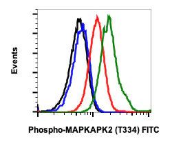 Flow Cytometry - FITC Anti-MK2 (phospho T334) antibody [MAPKAPK2T334-H2] (AB278790)