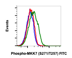 Flow Cytometry - FITC Anti-MKK7 (phospho S271 + T275) antibody [MKK7S271T275-R4F9] (AB278741), expandable thumbnail