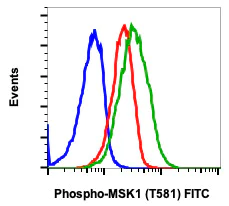 Flow Cytometry - FITC Anti-MSK1 (phospho T581) antibody [MSK1T581-A5] (AB278742)