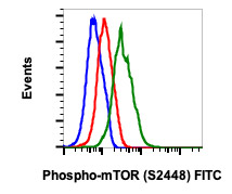 Flow Cytometry - FITC Anti-mTOR (phospho S2448) antibody [mTORS2448-E11] (AB278623)