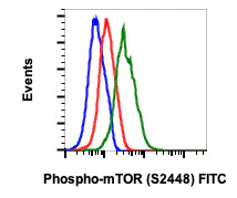 Flow Cytometry - FITC Anti-mTOR (phospho S2448) antibody [mTORS2448-E11] (AB278623)