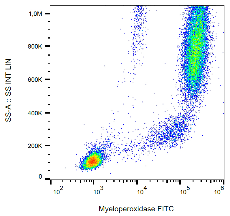 Flow Cytometry (Intracellular) - FITC Anti-Myeloperoxidase antibody [MPO421-8B2] (AB269284), expandable thumbnail