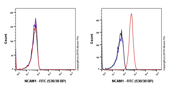 Flow Cytometry - FITC Anti-NCAM1 antibody [EPR21827] (AB237382), expandable thumbnail
