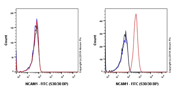Flow Cytometry - FITC Anti-NCAM1 antibody [EPR21827] (AB237382)