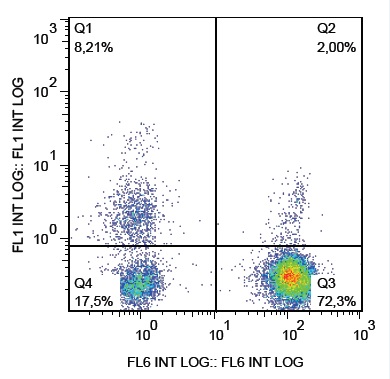 Flow Cytometry - FITC Anti-NCAM1 antibody [LT56] (AB234250)