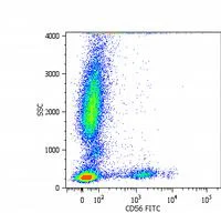 Flow Cytometry - FITC Anti-NCAM1 antibody [MEM-188] (AB69763)
