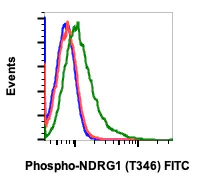 Flow Cytometry - FITC Anti-NDRG1 (phospho T346) antibody [NDRG1T346-F5] (AB278575)