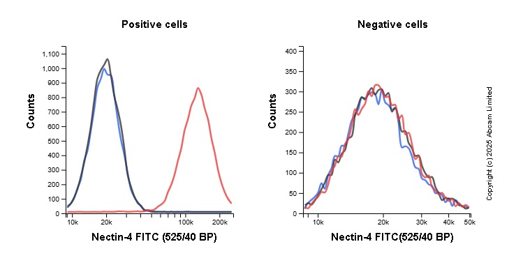 Flow Cytometry - FITC Anti-Nectin-4 antibody [EPR29074-48] (AB324204), expandable thumbnail