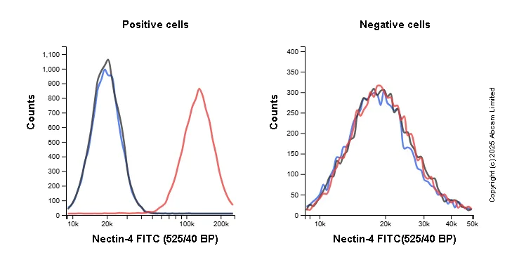 Flow Cytometry - FITC Anti-Nectin-4 antibody [EPR29074-48] (AB324204)