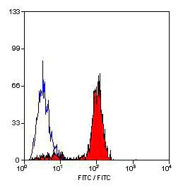 Flow Cytometry - FITC Anti-Neutrophil antibody [7/4] (AB53453)