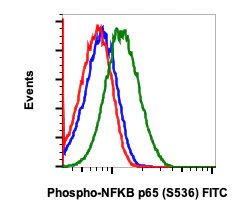 Flow Cytometry - FITC Anti-NF-kB p65 (phospho S536) antibody [NFKBp65S536-B7] (AB278631)