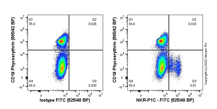 Flow Cytometry - FITC Anti-NKR-P1C/NK1.1 antibody [EPR22990-31] (AB315141)