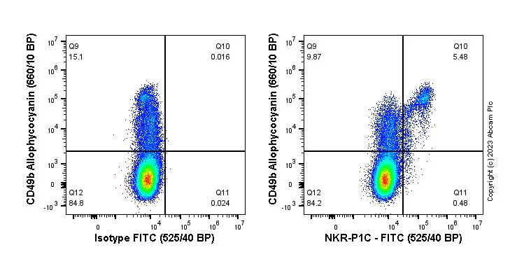 Flow Cytometry - FITC Anti-NKR-P1C/NK1.1 antibody [EPR22990-31] (AB315141)